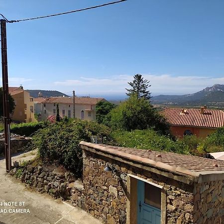 Duplex Avec Jardin, Proche Village Calenzana Dış mekan fotoğraf